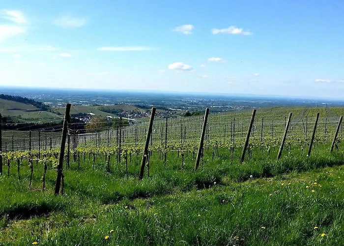 Ferienhof Vordere Alm
