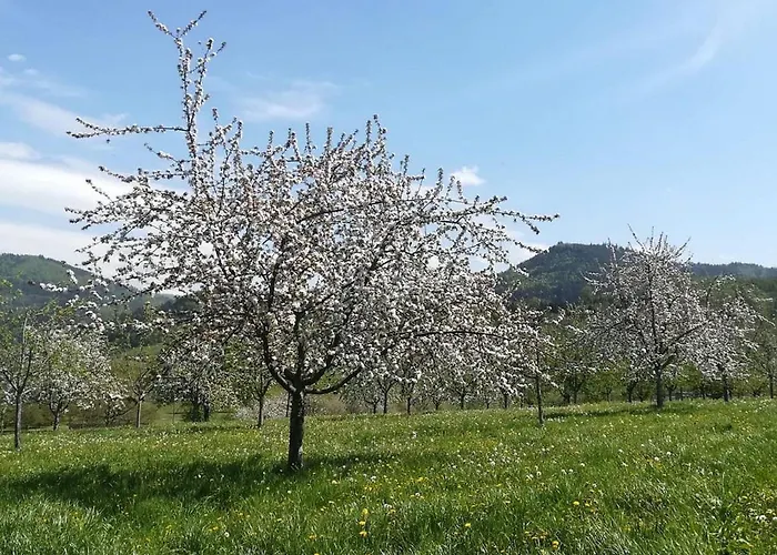 Ferienhof Vordere Alm