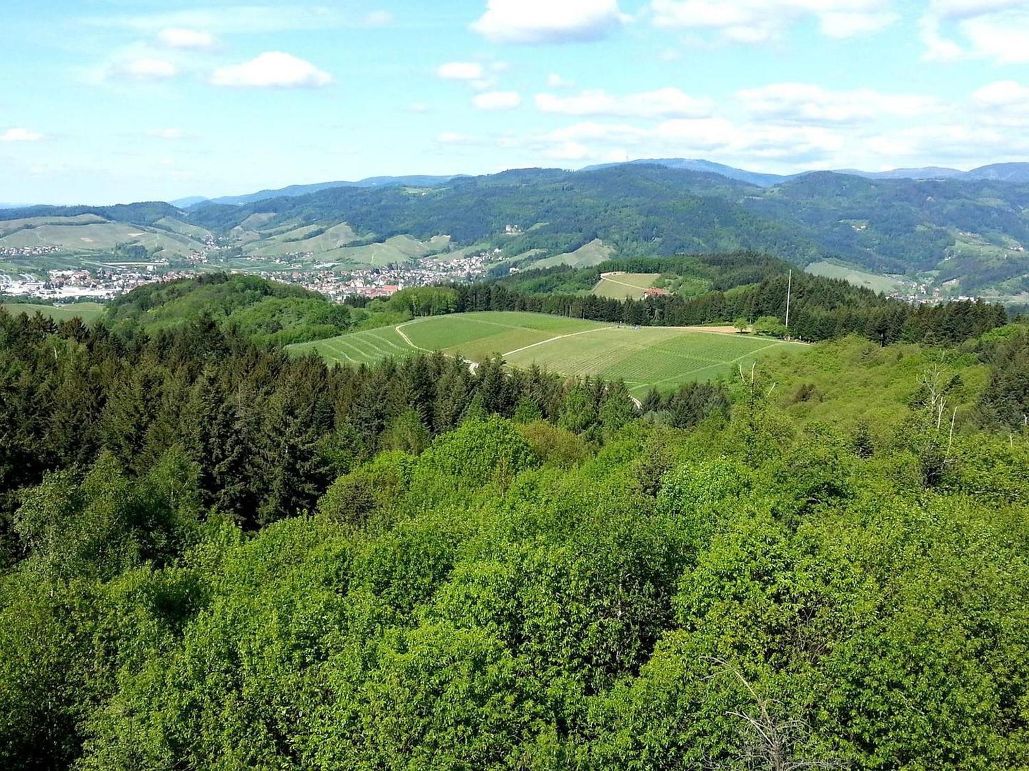 Vordere Alm Apartment *